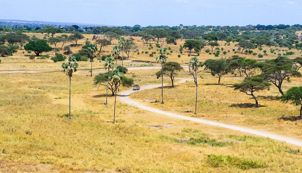Arusha to Tarangire National Park – Into Elephant Country